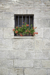 Fototapeta na wymiar Okno z kwiatami