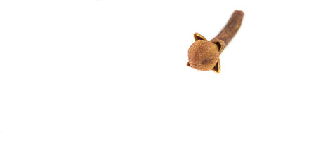 Dried cloves