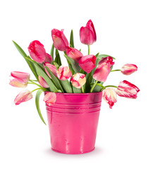 bouquet of red tulips in a bucket