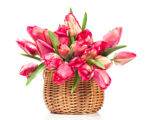 tulips in a wicker basket