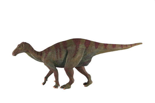 Iguanodon dinosaur against white background
