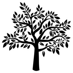 Obraz premium Vector tree