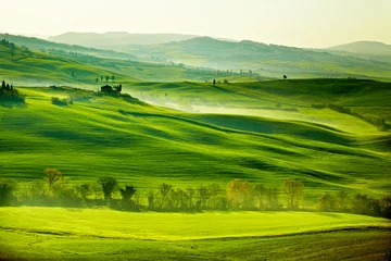 Landschaft, San Quirico´Orcia, Toskana, Italien © ZoomTeam