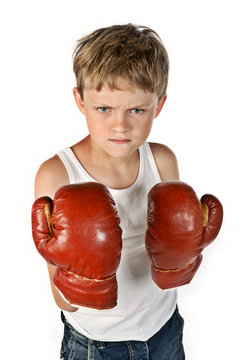 Kleiner Boxer