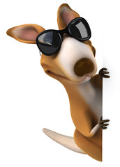 Fun kangaroo