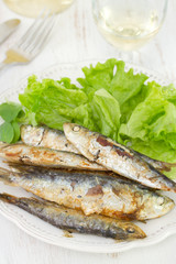 small sardines with lettuce