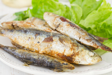 sardines with salad on the white plate
