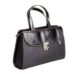 Naklejka premium Fashionable Handbag