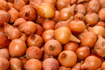 Background of onion seeds