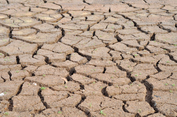 Fototapeta na wymiar dry soil