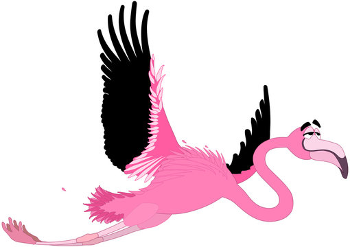 Flamingo - Comic