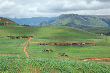 Naklejka premium Rural settlement, Drakensberg mountains, KwaZulu-Natal
