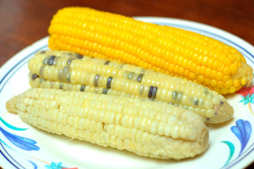 yellow corn in a bowl.