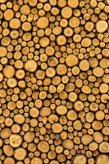 WOOD BACKGROUND