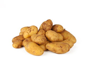 Fototapeta na wymiar frisch geerntete kartoffeln