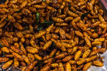Fried larvas on the thailand