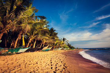Boats on a Tropical Beach, Mirissa, Sri Lanka - obrazy, fototapety, plakaty