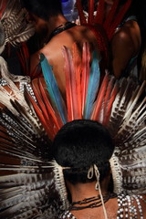 Indios Potiguara, Brasile