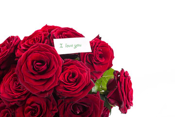 red roses with a declaration of love