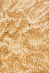 Real wood grain texture
