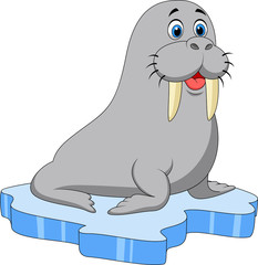 Cute walrus on ice