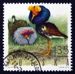 Postage stamp Poland 1970 Ruffs, Game Bird