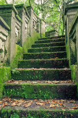 stone forrest stairs