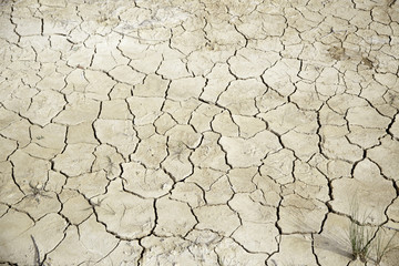 Dry land