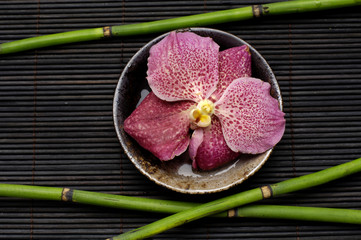 orchid floating in bowl with bamboo grove on mat