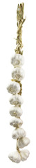 bunch of garlic with precise CLIPPING PATH