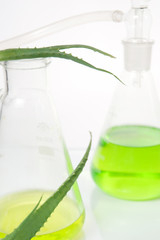 Extract of plants. Natural chemistry.