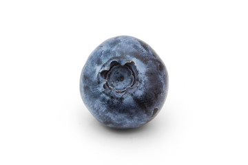 Fresh single blueberry  on white background