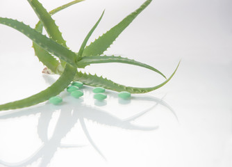 aloe vera plant with pills - herbal medicine