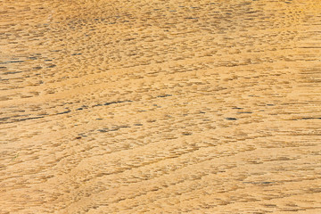 Teak wood texture