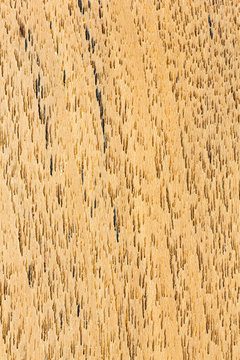 eak wood texture