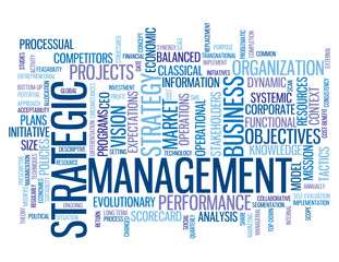 Fototapeta premium STRATEGIC MANAGEMENT Tag Cloud (strategy business lean process)