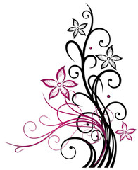 Fototapeta na wymiar Blume, Blüte, Ranke, Sommer, pink, schwarz