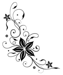 Obraz na płótnie Canvas Blume, Blüte, Ranke, black flower