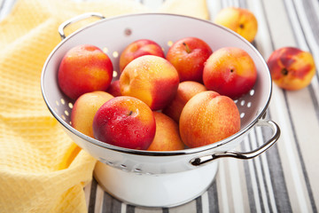 fresh nectarines and plums in colander
