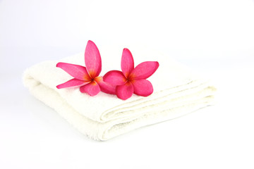 Obraz na płótnie Canvas Red flowers with white towel.