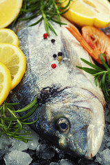 fresh seafood on ice