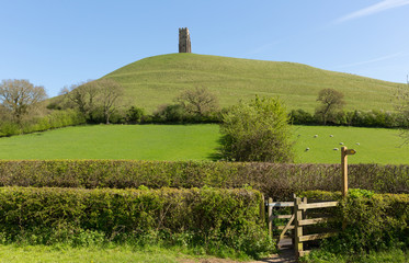 Somerset England Glastonbury Tor UK © acceleratorhams