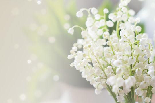 Lily Of The Valley