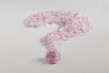 Pink petals lined like a question mark, white background.