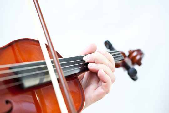 Violin