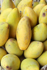 Mango fruit - Thailand