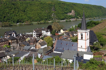 Assmannshausen - Frühling 2013