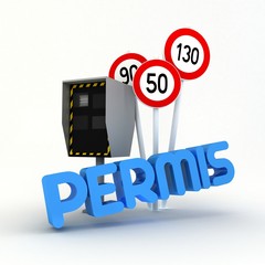 permis à points