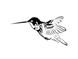 colibri tattoo black and white