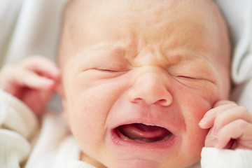 Newborn